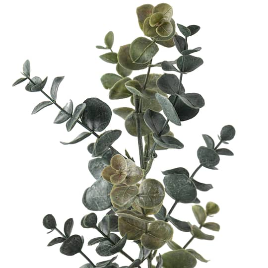 Eucalyptus Stem by Ashland®